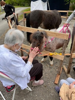 バディーズランチの所有馬