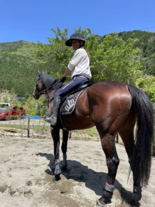 バディーズランチの所有馬